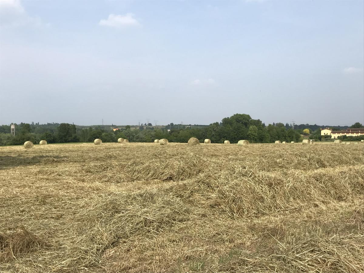 מלון פונטי סול מינצ'יו Agriturismo Corte Salandini מראה חיצוני תמונה