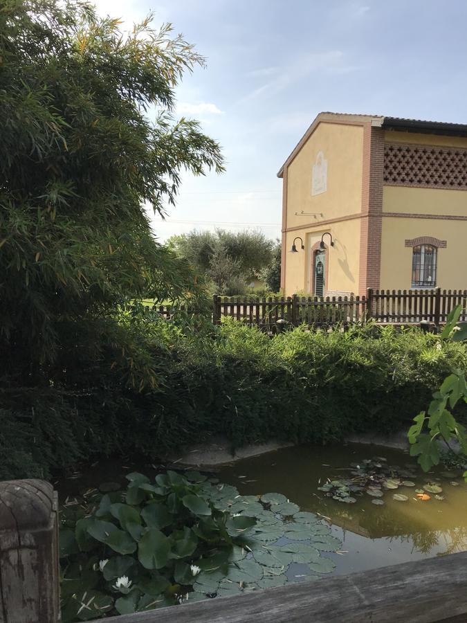 מלון פונטי סול מינצ'יו Agriturismo Corte Salandini מראה חיצוני תמונה